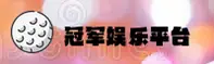 使用指南与常见问题
